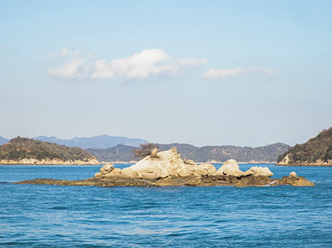 潮が引き、海から現れた見ごたえ抜群の大きな岩礁「五人宗谷(ごにんぞわい)」