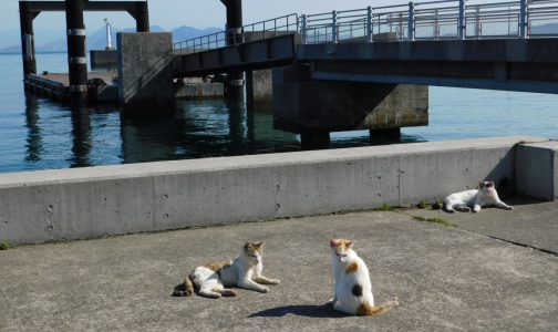 本浦港海上タクシー乗り場