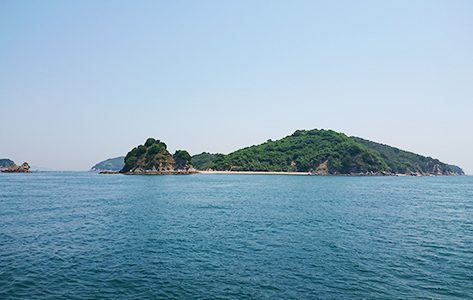 大島