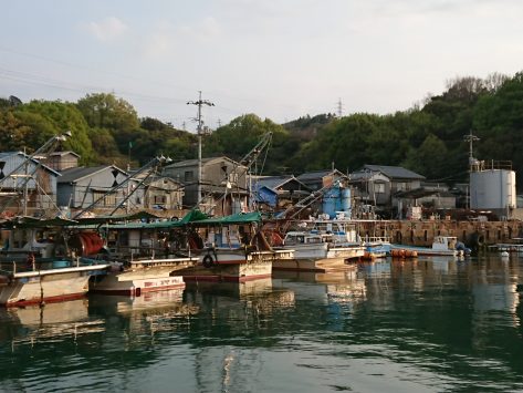 石島(井島)